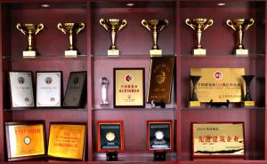 集團(tuán)公司四項(xiàng)工程榮獲“中州杯”獎！